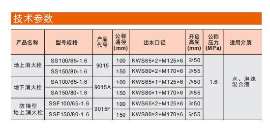 888Ӽվڵ˨ SA100/65-1.6